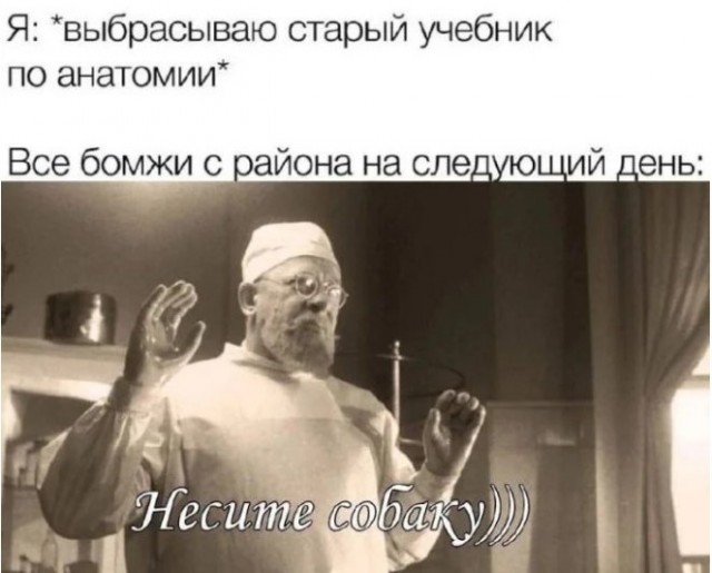 Картиночки, баянчики 25 июня