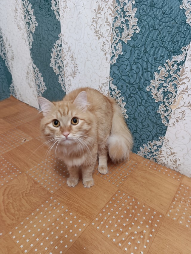 Прошёл ровно год...