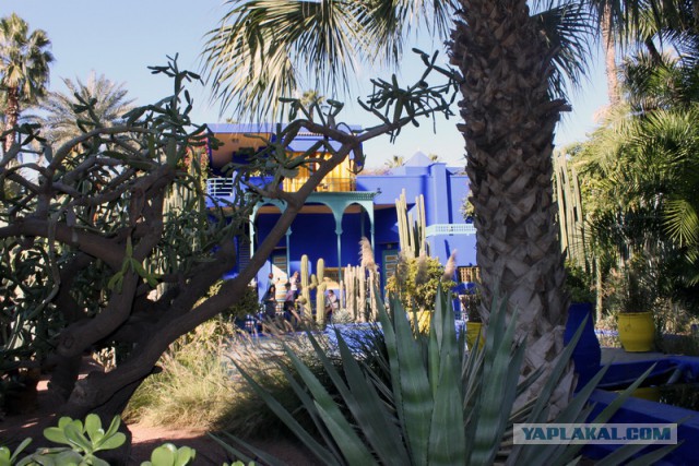 Новогодняя ночь в пустыне Сахара