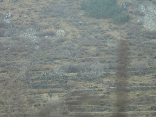 Грузия моими глазами.