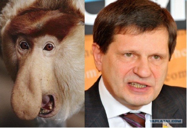 Кто на кого похож.