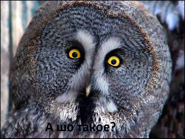 Я хочу замуж