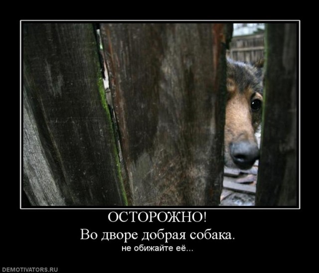 Все, все злые!
