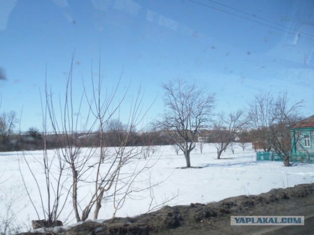 Кладоискательство & нумизматика