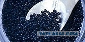 Черная икра вновь на прилавках!