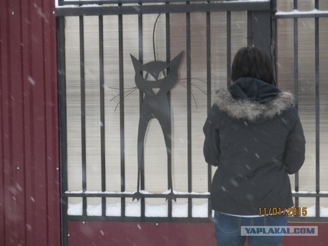 Дневник термоса или новогоднее путешествие