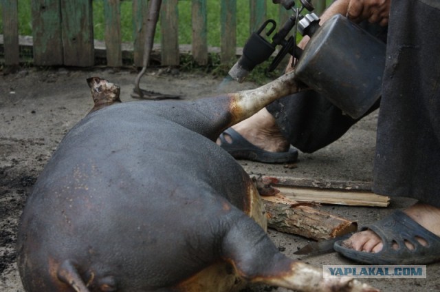Полицейские удаляют тату по-своему