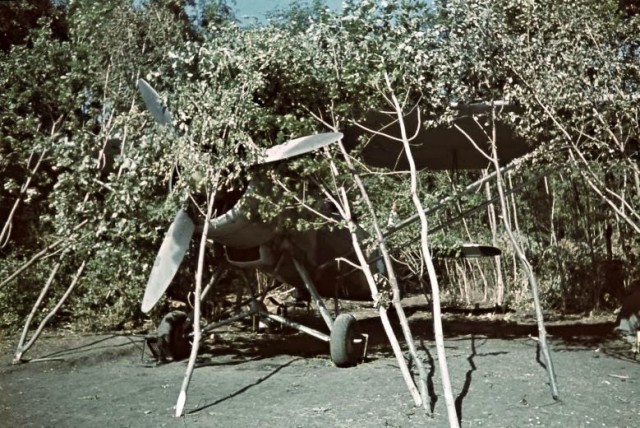 Украина 1942 год