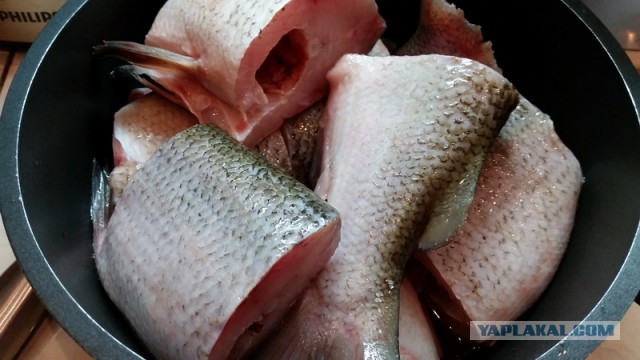 Гефилте фиш – классическая фаршированная рыба по-еврейски.