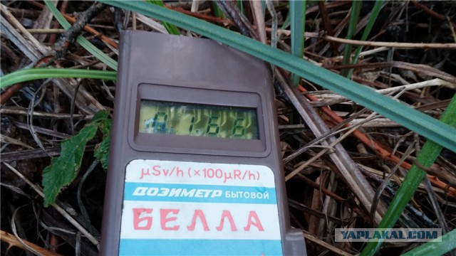 Поход в Чернобыльскую Зону Отчуждения.