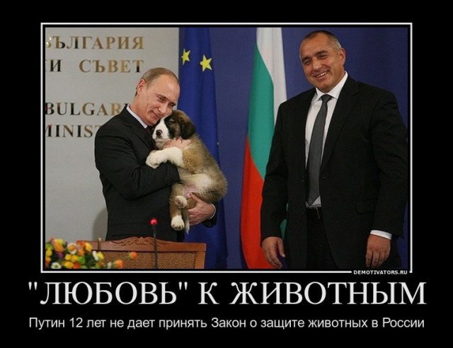 Живодерки из Хабаровска