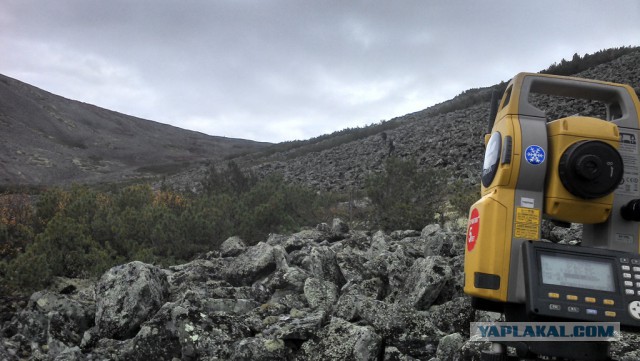 Командировка. В леса