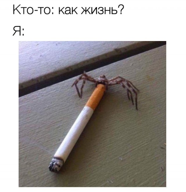 Немного картинок на выходные