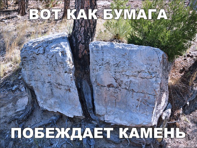 Нестандартный юмор