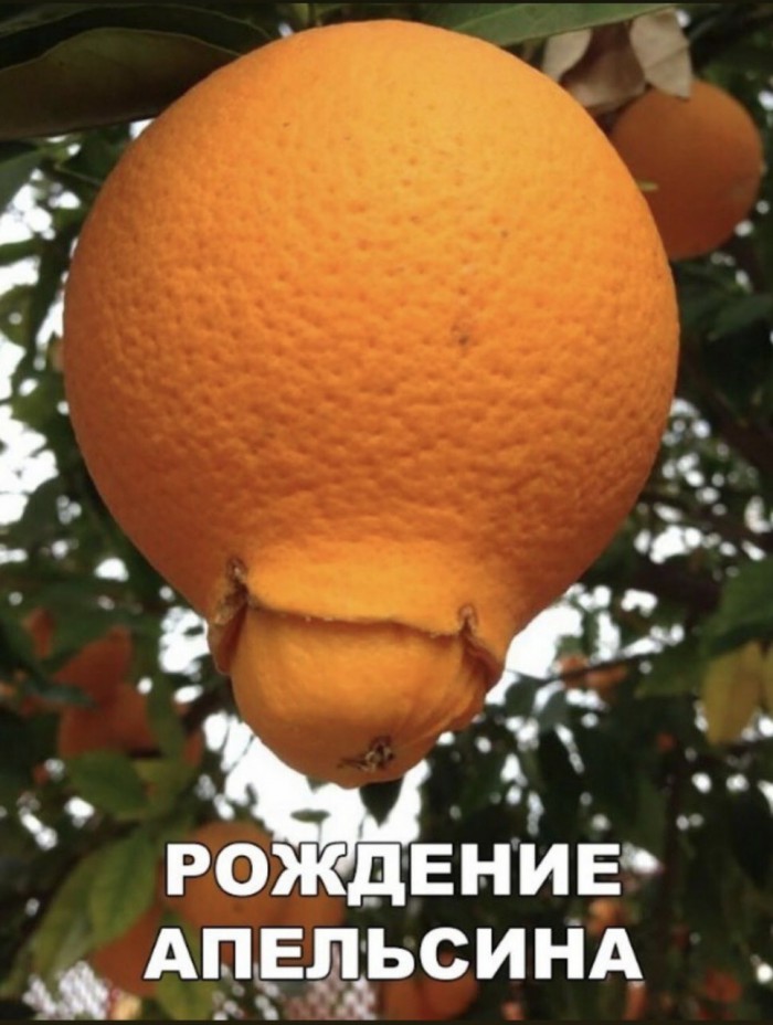 Картинки с надписями, истории и анекдоты