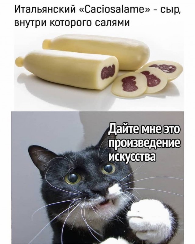 Немного картинок для настроения 18.12.19