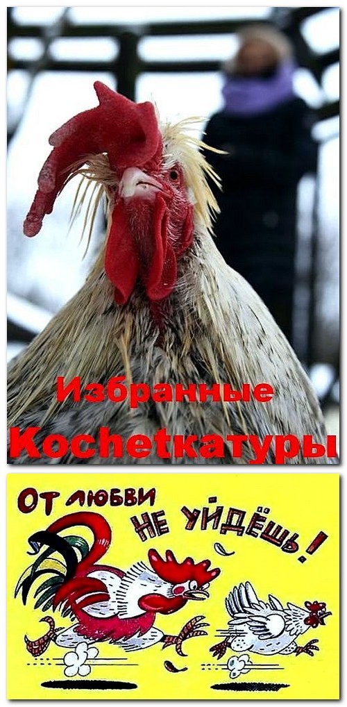 Kochetкатуры