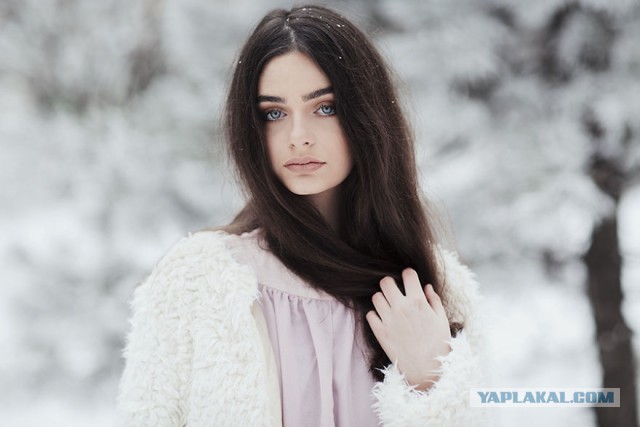 Картинки,  и всё, хватит уже короны!