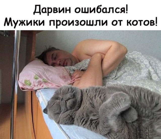 Поднакопилось чутка картинок и надписей