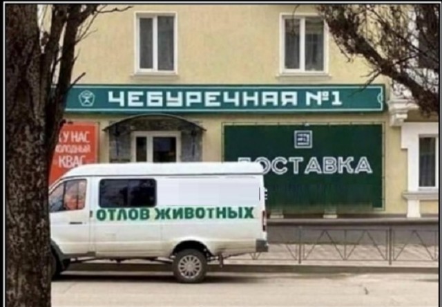 Картинки с надписями фразы  и анекдоты 16.11.20