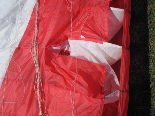 Орел против парапланериста