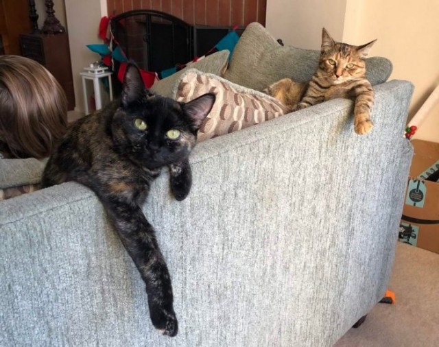 Картинки и мемы для настроения 28.07.2021