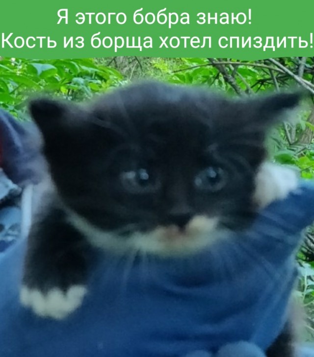 "Какие наркотики?"