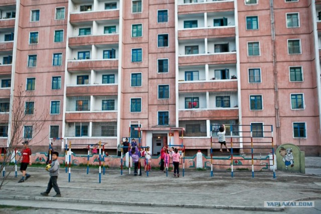 Северная Корея "в цвете"