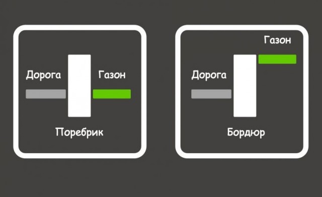 Питерский селфичат