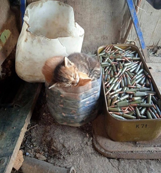 Пост одной картинки