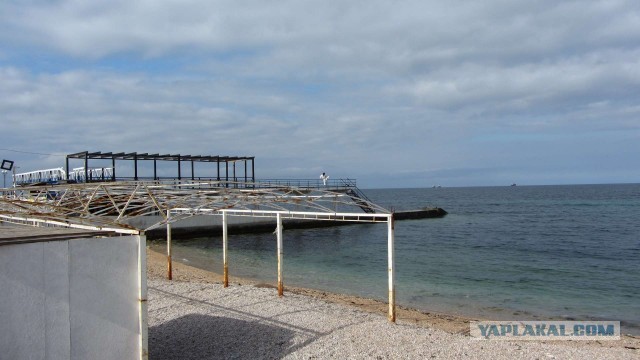 Крым в феврале или "Не стреляйте в белых лебедей!"