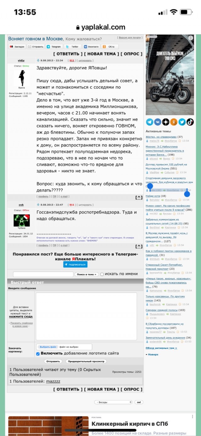 В Чертаново чертихи выкопали цветы с городской клумбы.