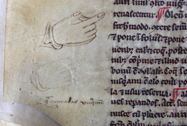 «Будь проклят этот кот, что помочился на мою книгу!» Запись в манускрипте, сделанная в 1420 году