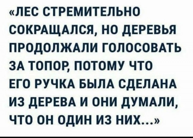 Первые данные ЦИК: Путин набирает 87,97 процента голосов