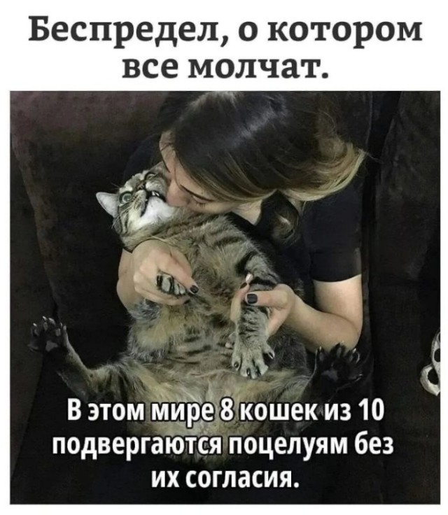 Веселые картинки в понедельник (13.01)
