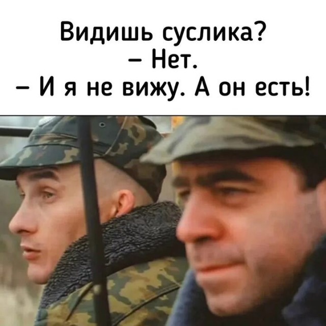 Калифорнийский суслик: Змеи в ужасе. Грызун надевает их кожу и идёт мстить обидчикам