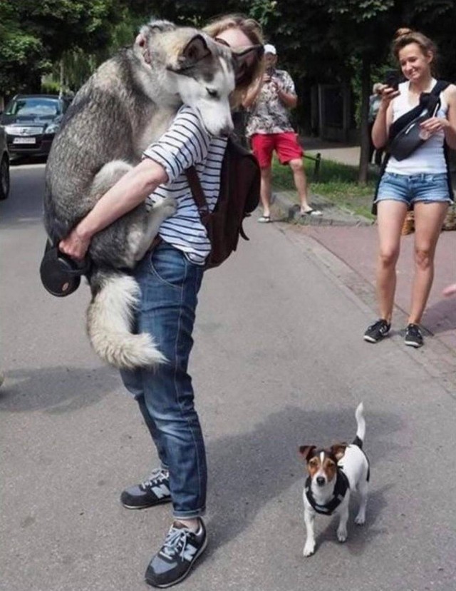 Картиночки на поднедельник