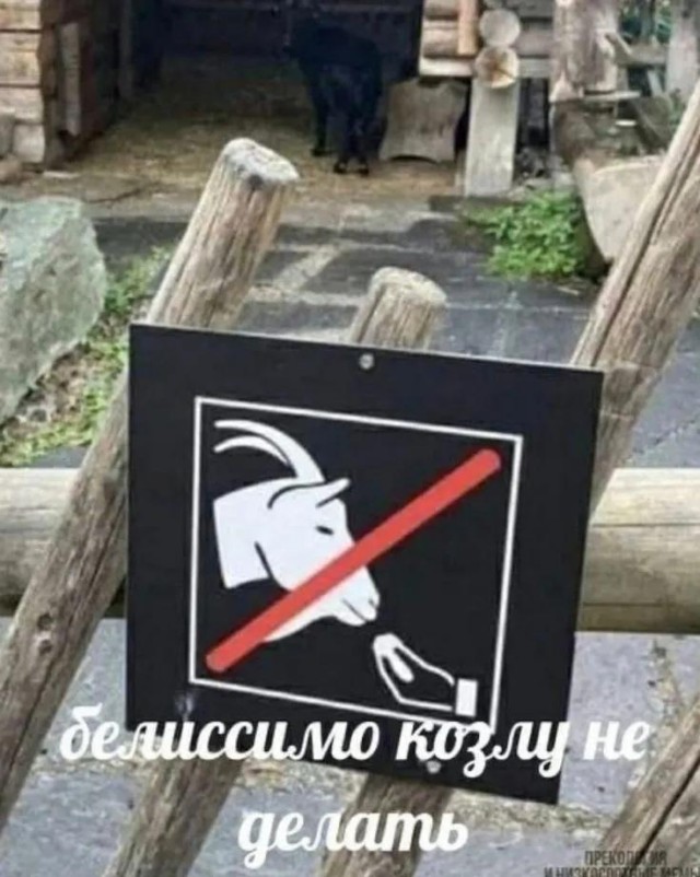 Воскресные картинки
