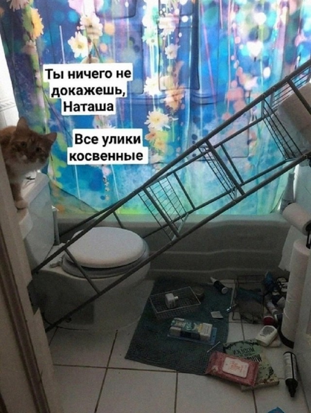 Так себе картинки 28.02.26