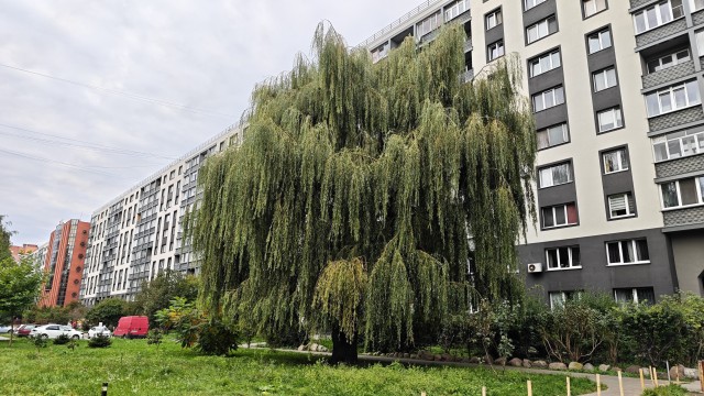Все краски осени