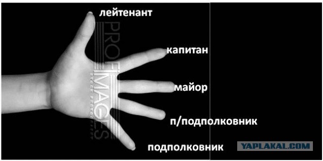 Тест на пляже