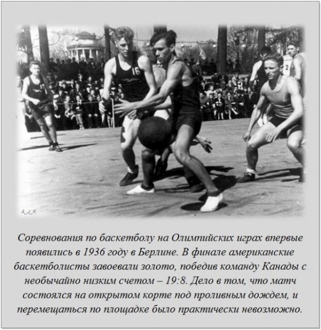 20 фактов обо всем