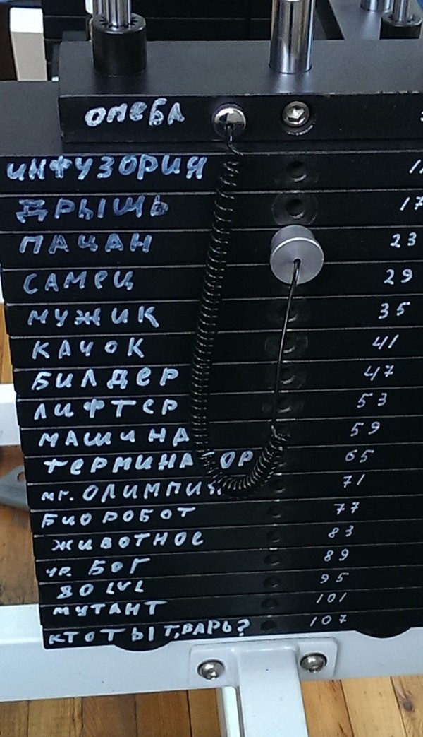 Тем временем в качалке