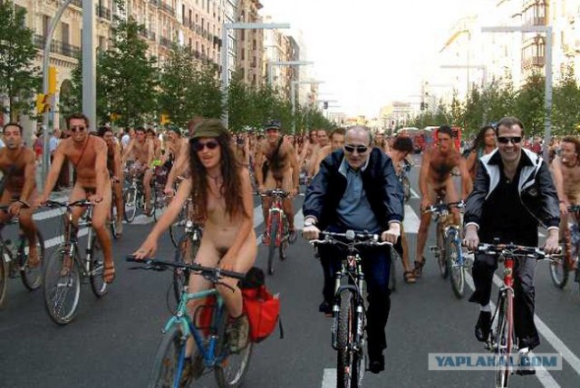 Ехали Медведев на велосипеде...