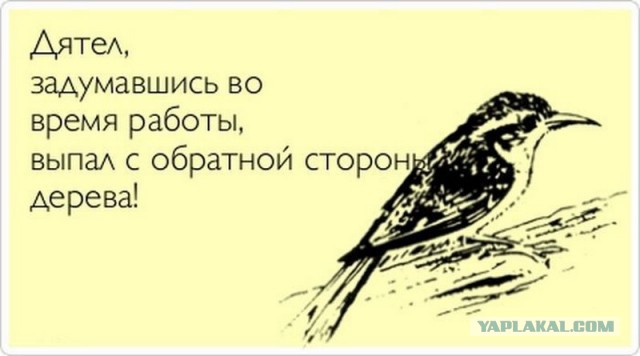 Понедельничная малозарядная лента анекдотов