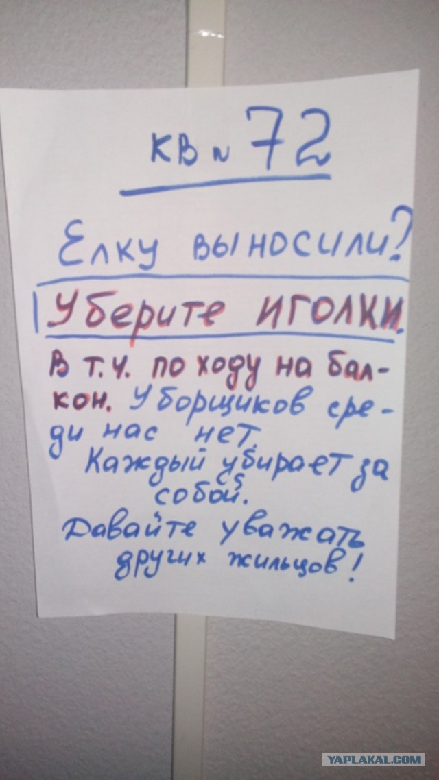 15 душевных объявлений из наших подъездов