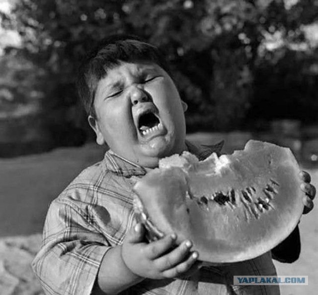 Водители в Антарктиде