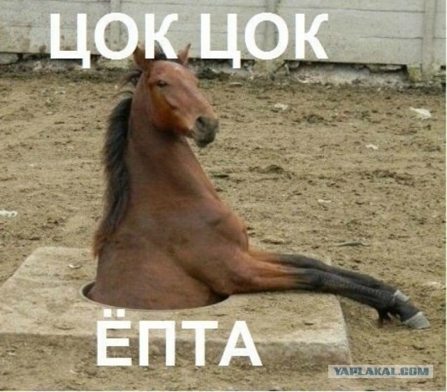 Азбука провинциальной жизни