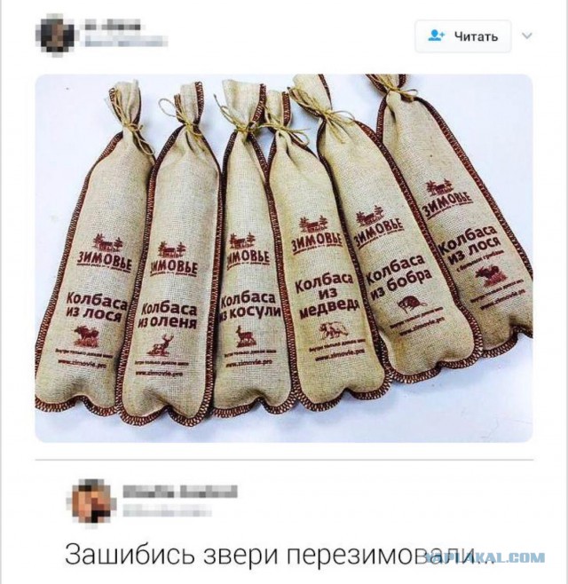 Пакуйте чемоданы