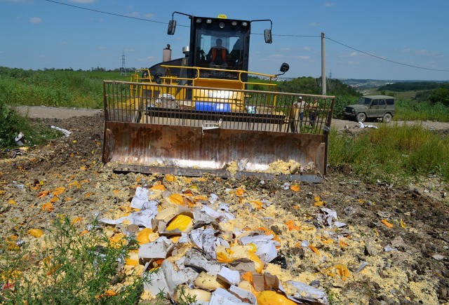 Вице-премьер Гордеев предложил отказаться от уничтожения изымаемых продуктов